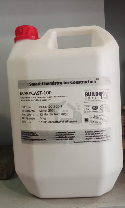 BS Skycast-100